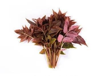 Chinese Toon Leaves (Bunch/100g) - Tree of Hearts